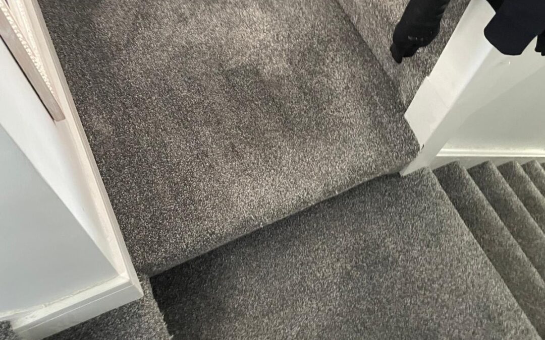 Hall Stairs cleaned in Llanelli