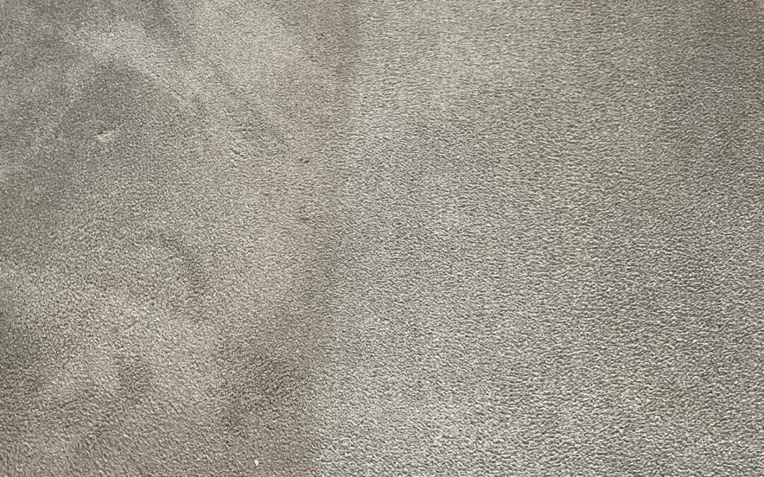 Carpet cleaning in Port Talbot