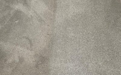 Carpet cleaning in Port Talbot