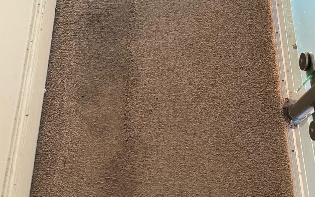 Carpet cleaning in Neath