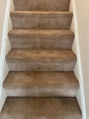 Carpet Cleaning in Neath