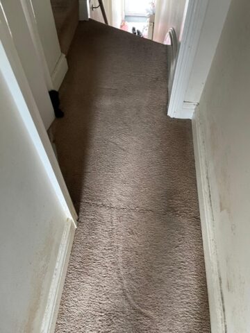 Carpet Cleaning in Neath