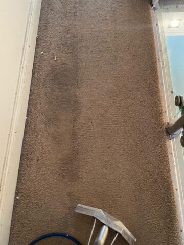 Carpet Cleaning in Neath