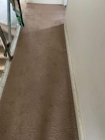 Carpet Cleaning in Neath