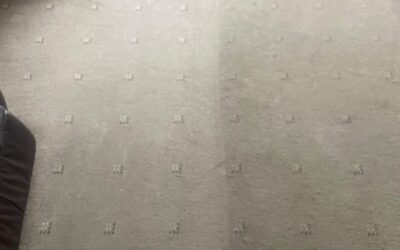 Carpet Cleaning and Stain Removal in Swansea